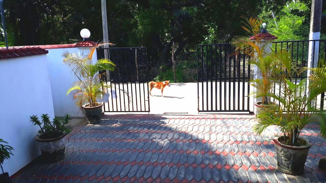 Hilton Cottage Trincomalee Buitenkant foto